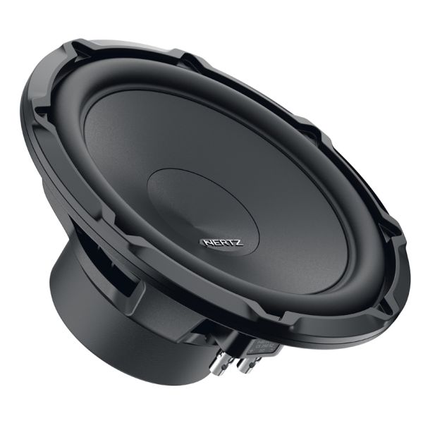 CENTO 10" 600W 2 OHM SVC SUBWOOFER (CS 250 S2)
