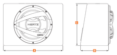 DIECI 12