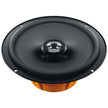 DIECI 6.5