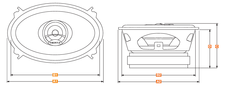 DIECI 4X6